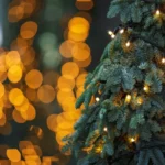 Kalėdinės dekoracijos | Lemputės | ĀUROS